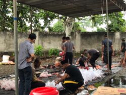 Polres Mura Ikut Berkurban, Sembelih Lima Sapi