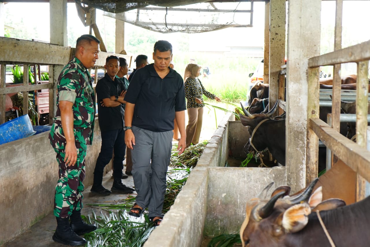 Pangkogabwilhan I Letjen TNI Kunto Arief Wibowo Tinjau Kesiapan Wilayah dan Dorong UMKM Gunakan Teknologi Tepat Guna