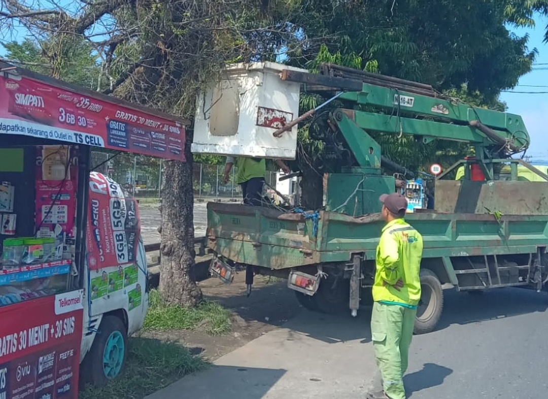 DLH Lubuk Linggau Lakukan Penebangan Pohon Mati dan Penebasan Rumput