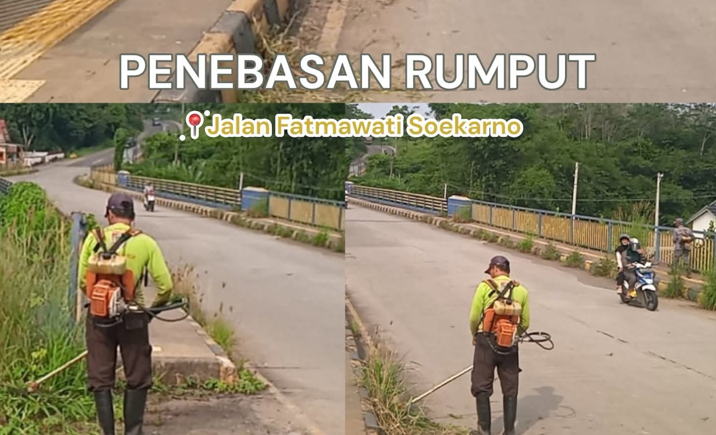 DLH Lubuk Linggau Tebas Rumput Liar di Jalan Fatmawati Soekarno, Jaga Keasrian Kota